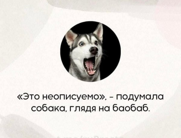 FB IMG 1777318140249