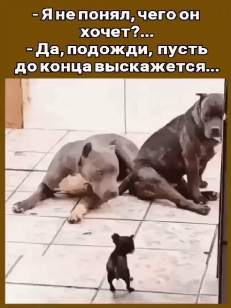 IMG 20241115 232712
