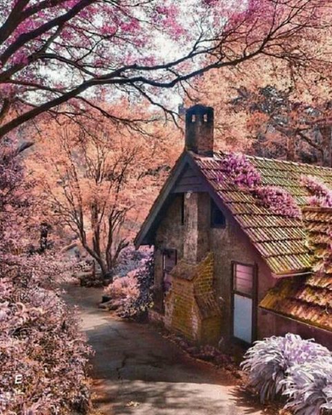 FB IMG 15916016117160215