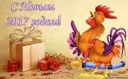 Год петуха 1