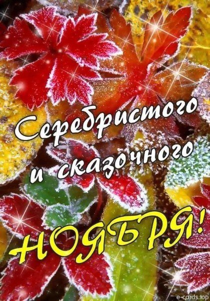 file_94968574