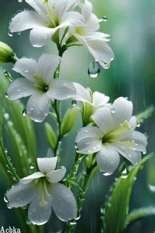 file_97095411