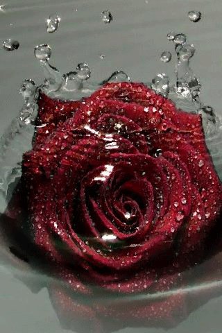 file_81914665