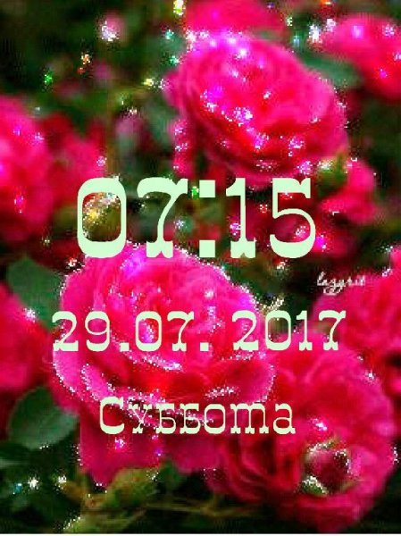 Волшебство роз