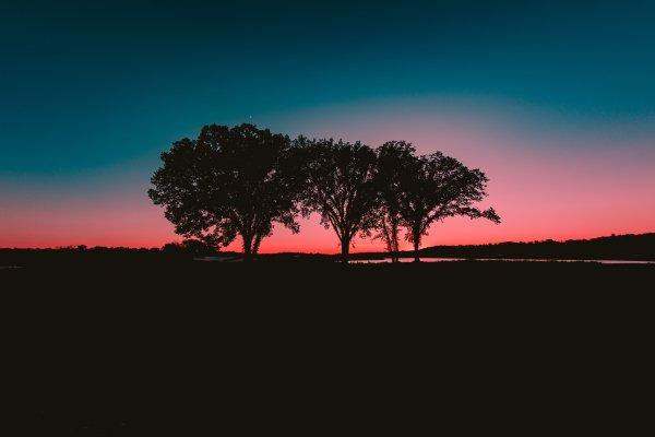 file_99303915