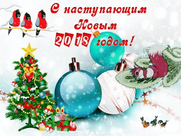 IMG 20171229 083639 1