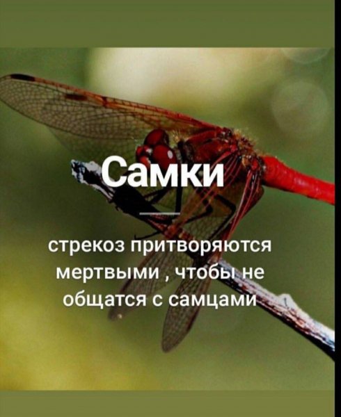 edfc46cb6a0dc39b14f9078a