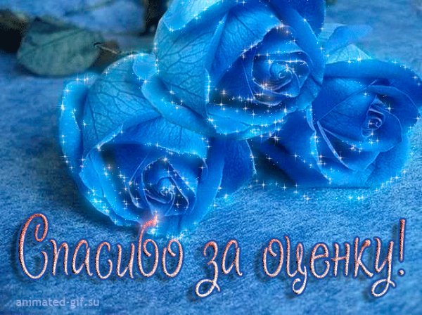 Animashka sinie rozy