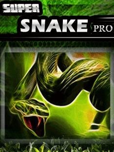 Super Snake Pro 320x240