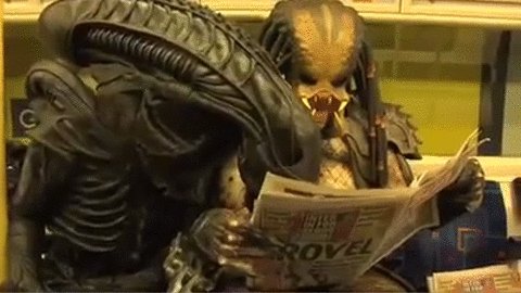 Predator VS Alien