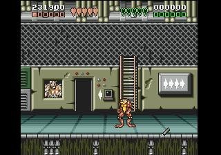 battletoads and double dragon