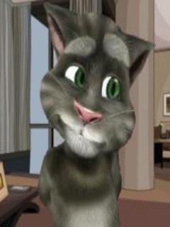 Talking Tom Room Decoration
