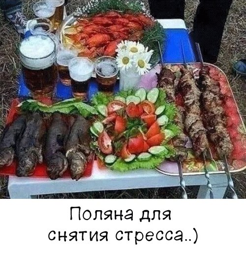 file_103287451