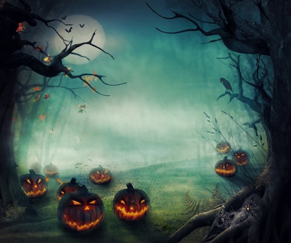 Halloween Pumpkin Fog Branches Moon 572205 2600x2170