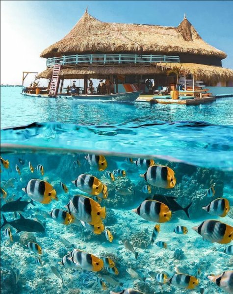 Screenshot 2021-07-30-14-26-08