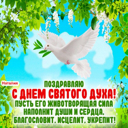file_100001500