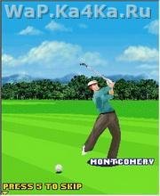 3D Vijay Singh Pro Golf
