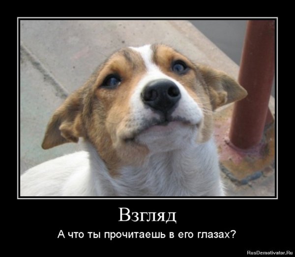 Взгляд...