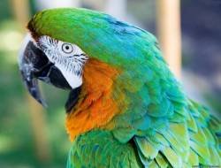 file_53810610