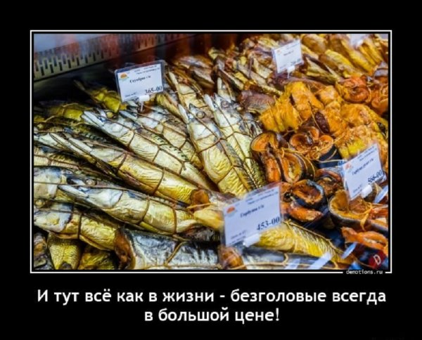 Всё как в жизни - безголовые всегда в цене