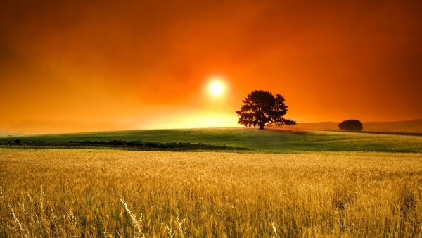 Amazing Mixed Wallpapers 93 (41)