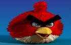 Hungry Angry Bird