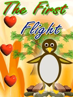 First Flight