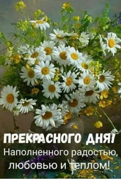 IMG 20200129 503628