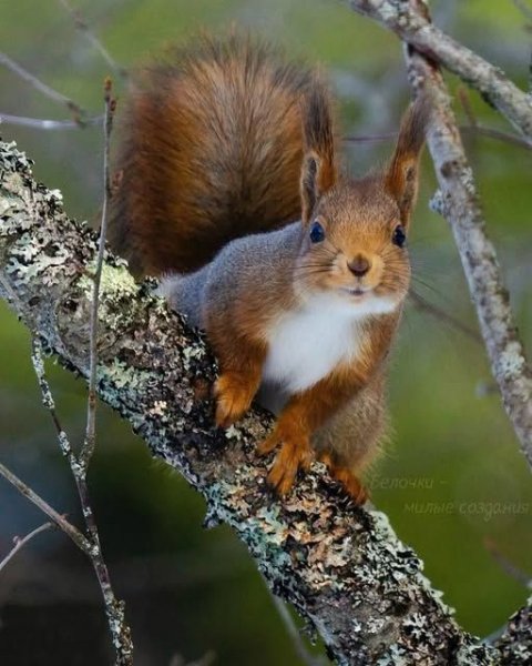 3fe9b9369bcacfa30b5dc83cee9abe22