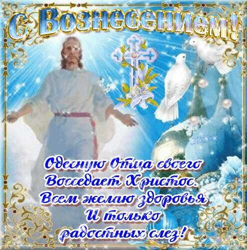 file_68902312