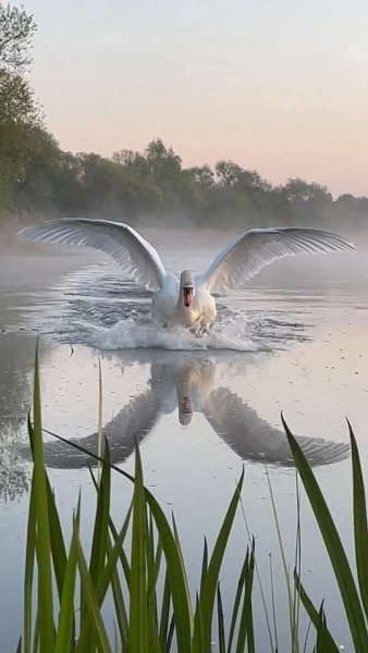Великолепный кадр