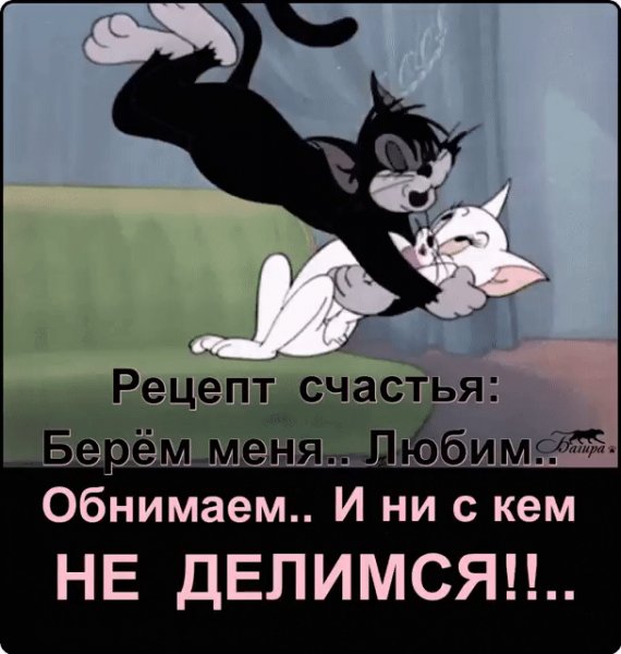 IMG 20230811 111540