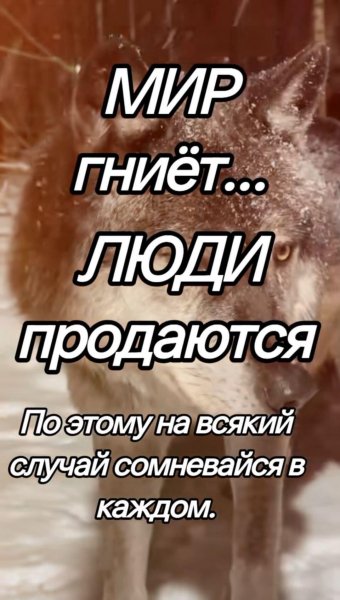 IMG 20250228 091853