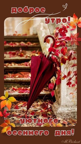 file_94745926