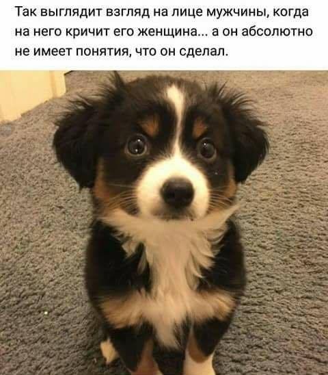 file_102188889