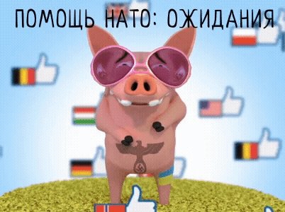 Помощь НАТО: Ожидание и Реальность