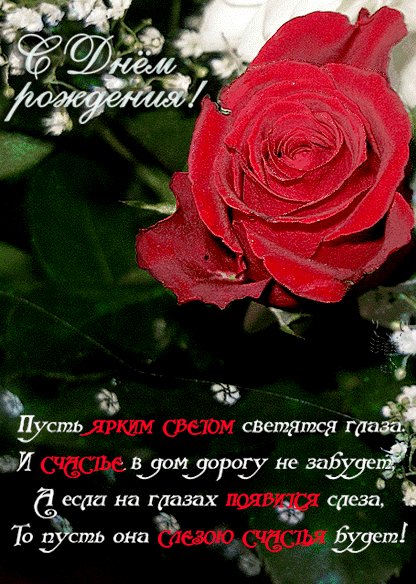 С Днем Рождения!!!