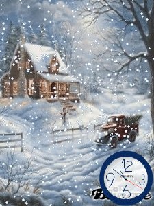 41Winter anim