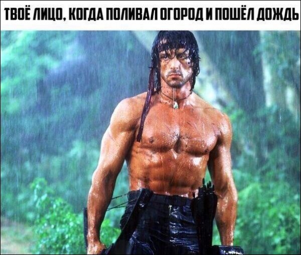 fotopodborka-1