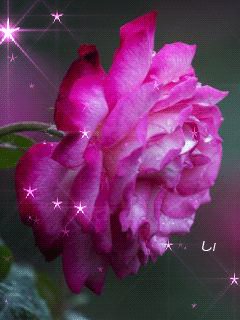 file_68766679