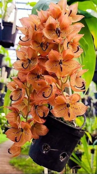 FB IMG 1715107355847