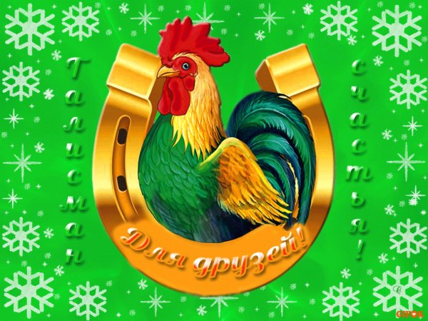 IMG 20161209 213205 10