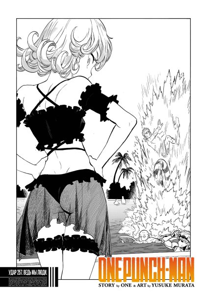 OnePunch-Man v34 ch 257