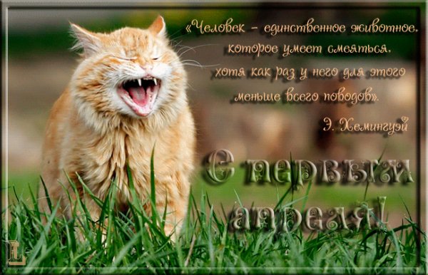 1 апреля