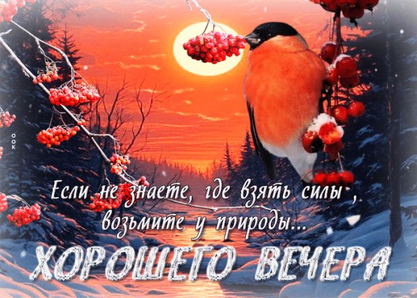 file_99050402