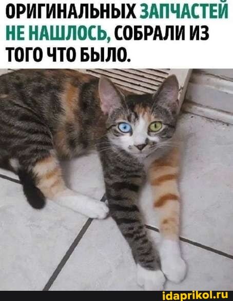 f0c9798484b108e6e91e0a091b3cd4475fbe62f5b 1