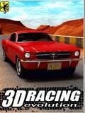 3D Racing Evolution nok320240