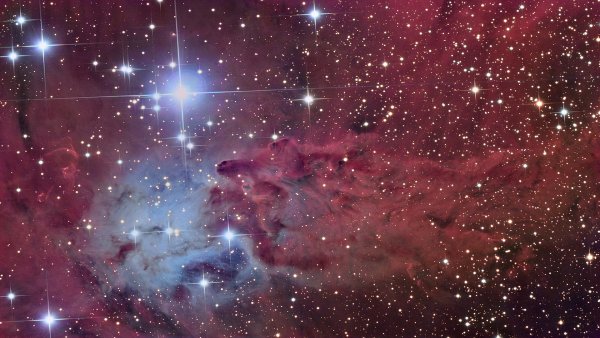 file_71597952