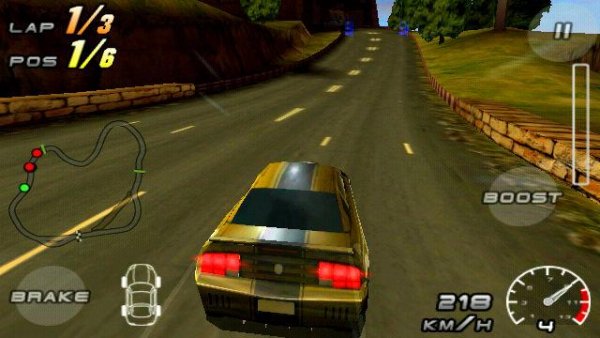 ОТЛИЧНЫЕ ГОНКИ