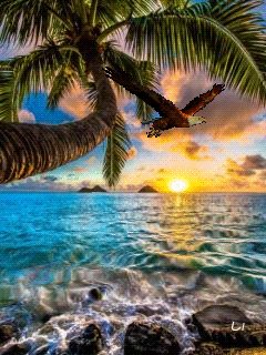 file_68520278